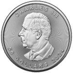 Platinová investiční mince Maple Leaf 2024 – obrázek 2