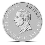 Platinová investiční mince Perth Mint 125th Anniversary 2024 31,1 g (1 Oz) – obrázek 3