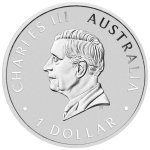 Stříbrná investiční mince Perth Mint 125th Anniversary 2024 31,1 g (1 Oz) – obrázek 3
